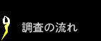 調査の流れ